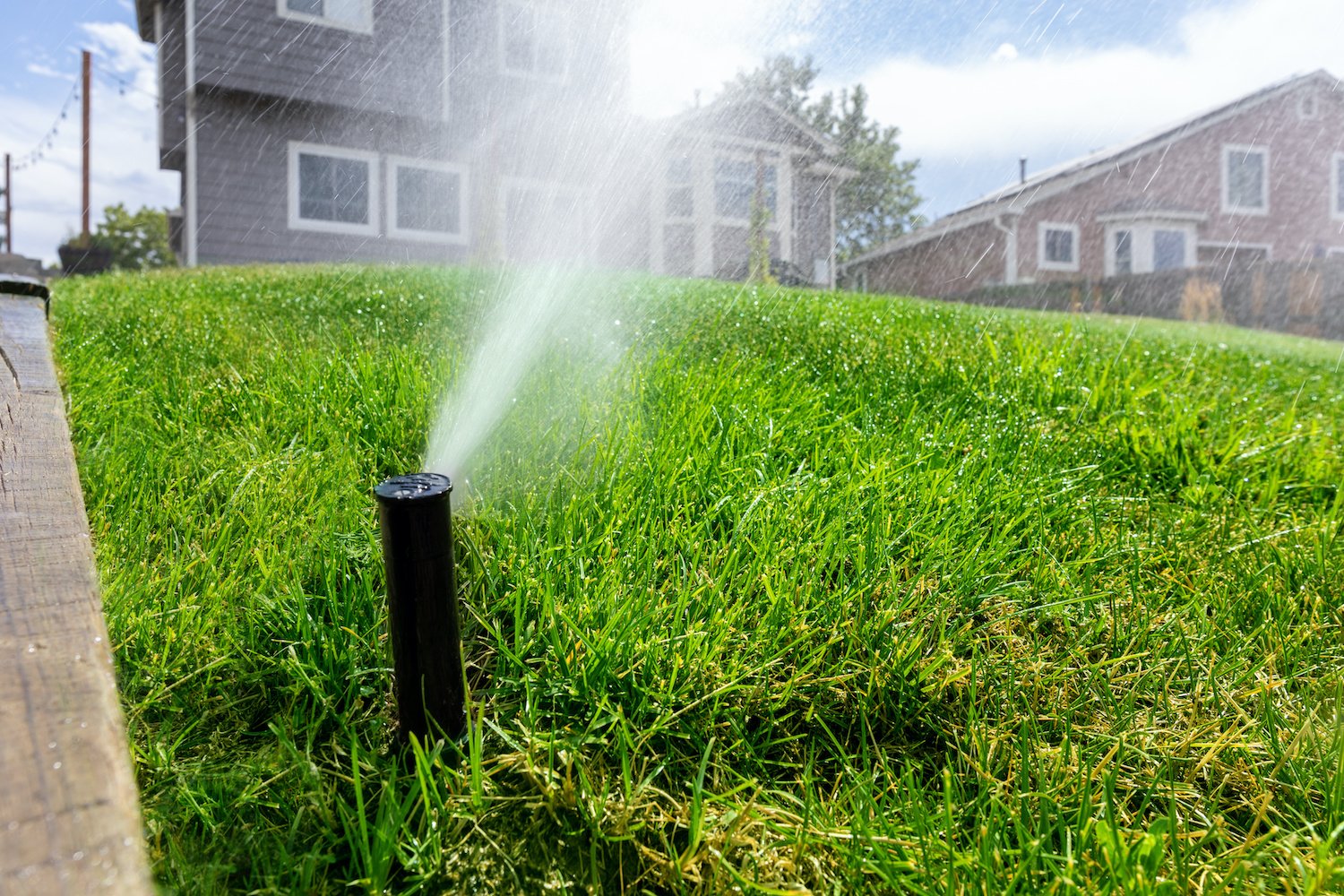 5 Irrigation Plumbing Issues Increasing Your Water Bill + How to Save