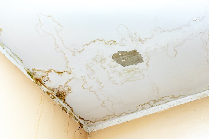 3 Ways to Fix a Leaking Ceiling (+ Tips for Preventing Severe Damage)