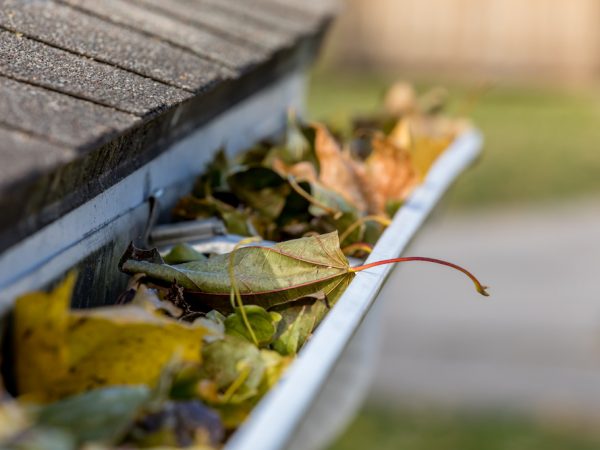 How to Clean Gutters and Clogged Roof Drains